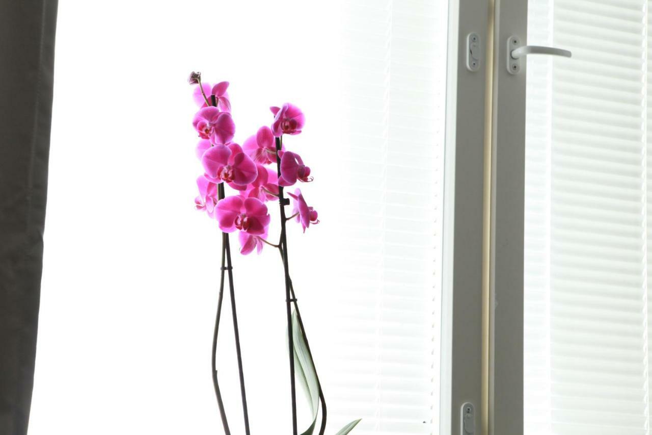Studio Orchidea Helsingfors Exteriör bild